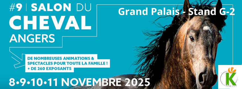 Bannière facebook salon angers