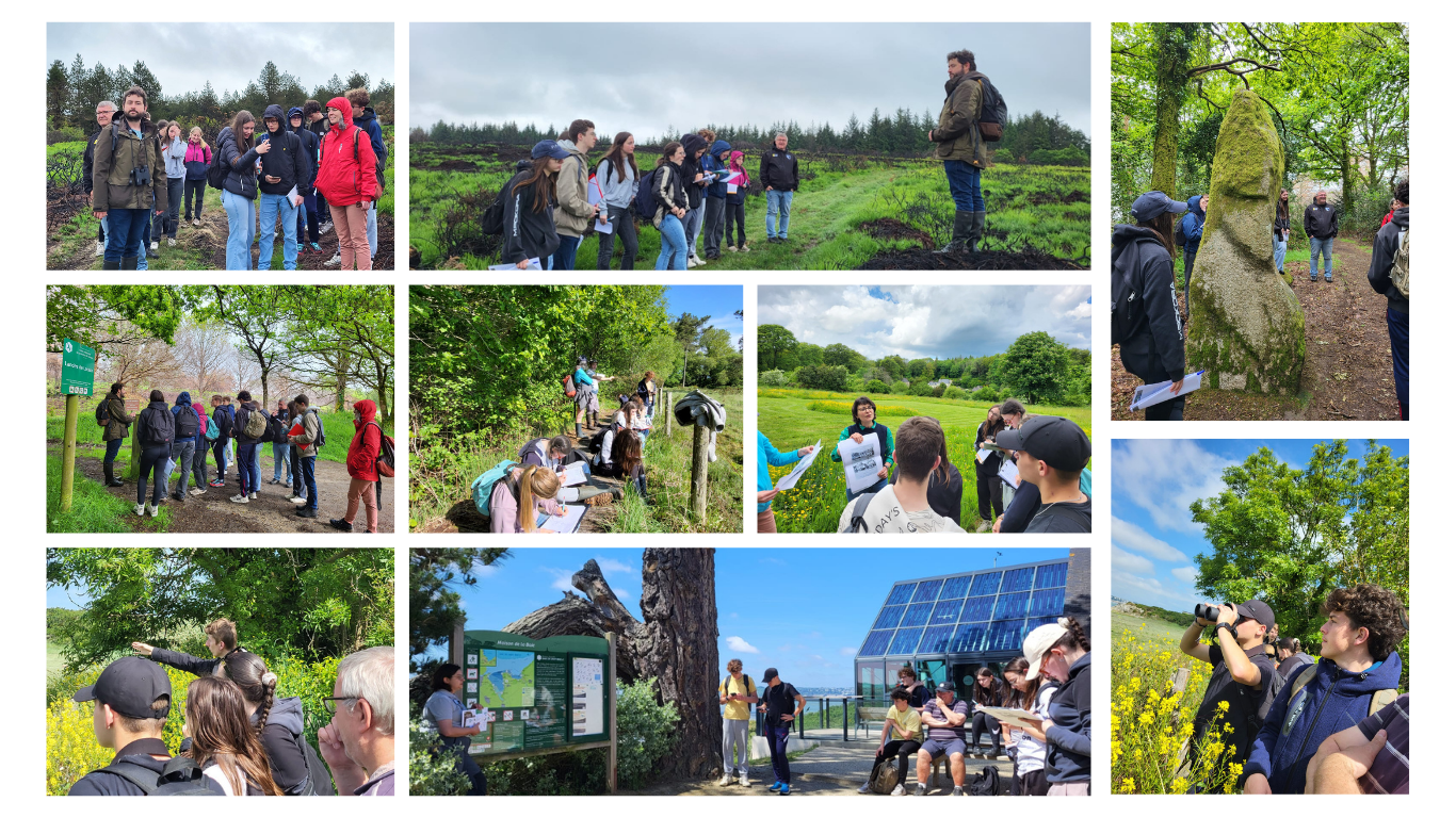 montage stage territoire STAV