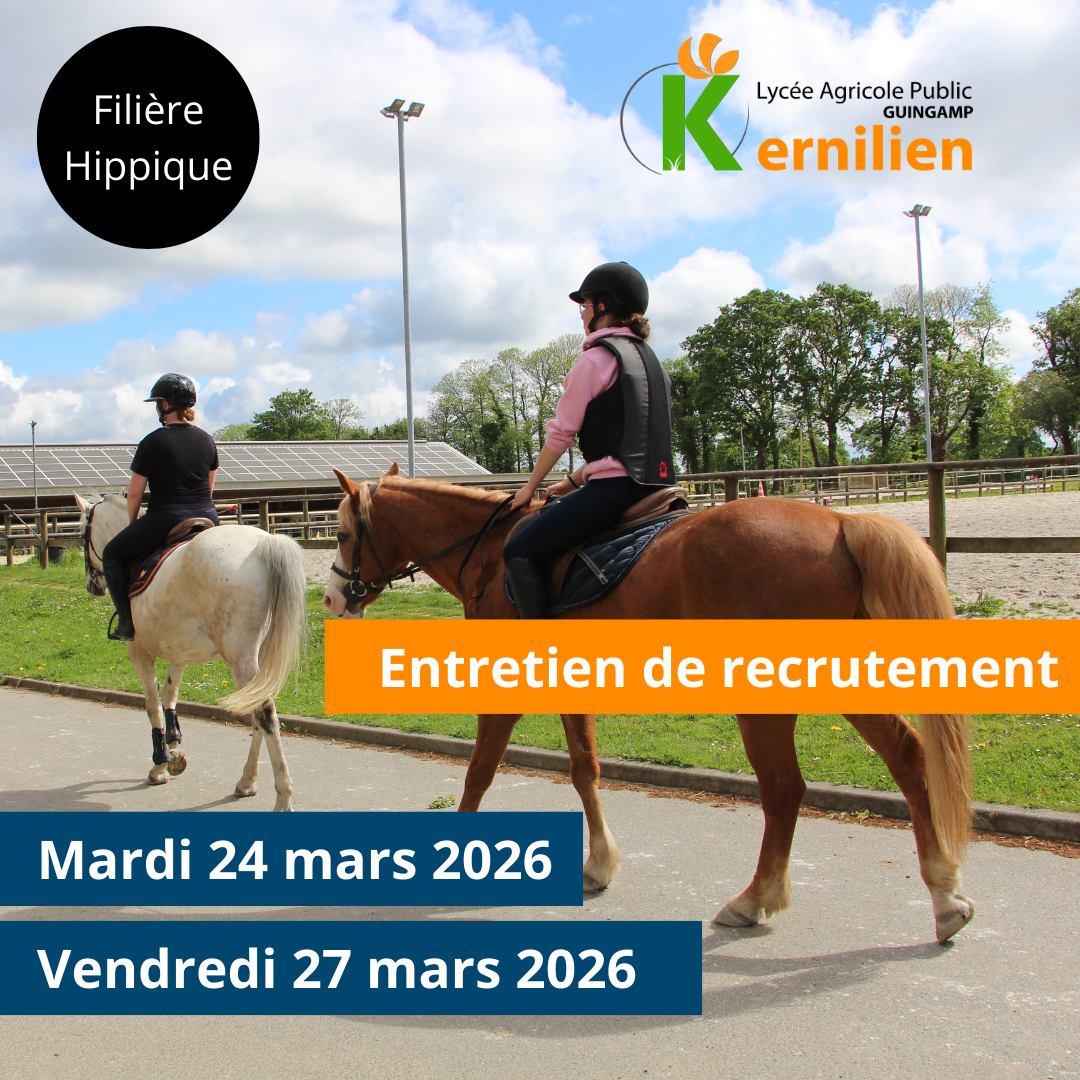 Recrutement hippique