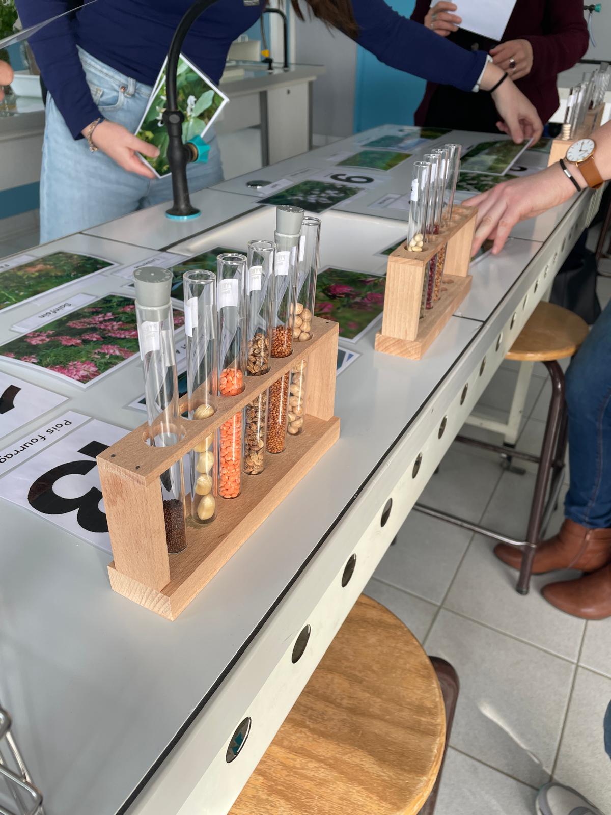 WhatsApp Image 2026 03 10 at 10.56.37 1