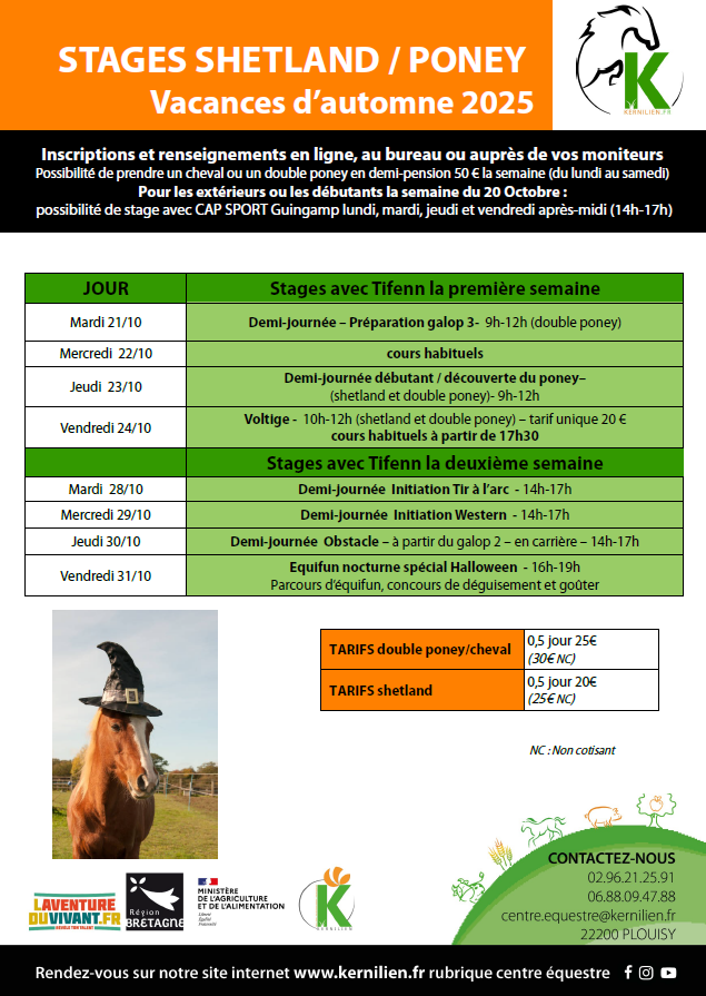 stage automne 25